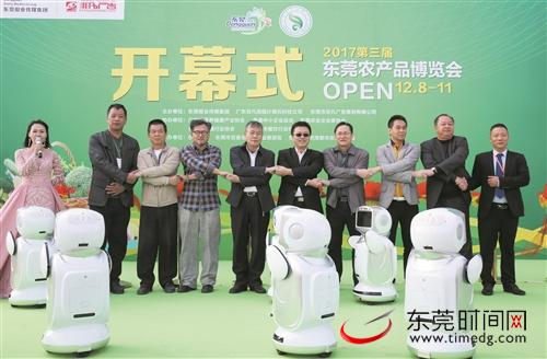 1512960569415544.jpg EFXS-fypnsip1656073.jpg