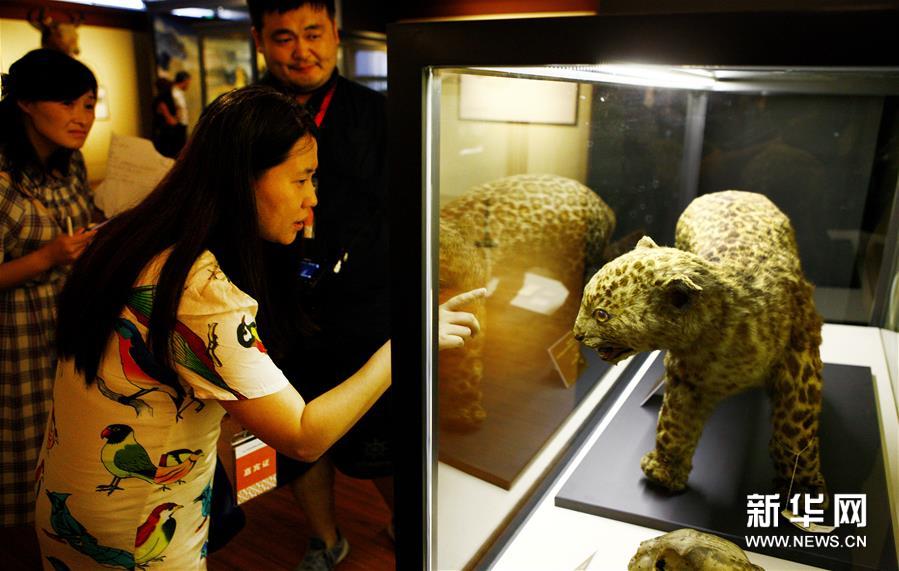 (文化)(1)三館聯(lián)袂 上海博物溯源特展開(kāi)幕 (文化)(1)三館聯(lián)袂 上海博物溯源特展開(kāi)幕