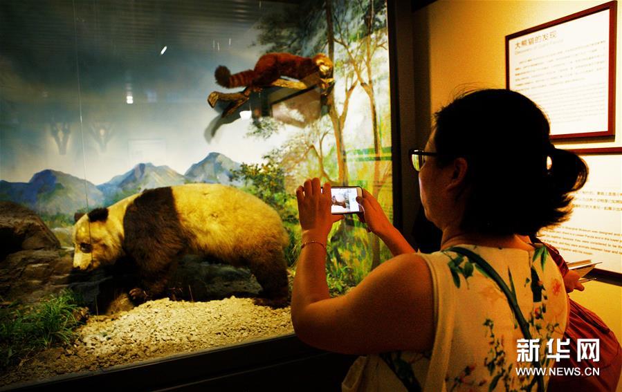 (文化)(2)三館聯(lián)袂 上海博物溯源特展開(kāi)幕 (文化)(2)三館聯(lián)袂 上海博物溯源特展開(kāi)幕