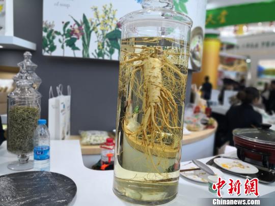 圖為中國(甘肅)中醫藥產業博覽會上展出的中藥材。 李亞龍 攝 圖為中國(甘肅)中醫藥產業博覽會上展出的中藥材。 李亞龍 攝
