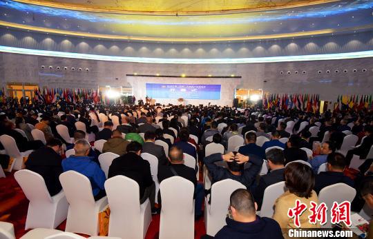 藥博會(huì)聚焦中醫(yī)藥國(guó)際化海外藥企青睞甘肅資源優(yōu)勢(shì)