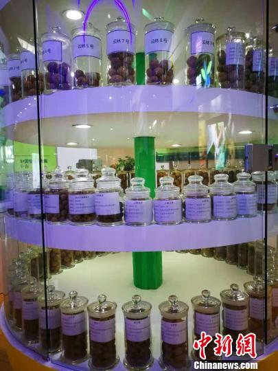 圖為博覽會現場。　胡遠航 攝