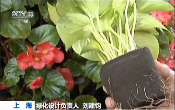 點(diǎn)擊進(jìn)入下一頁