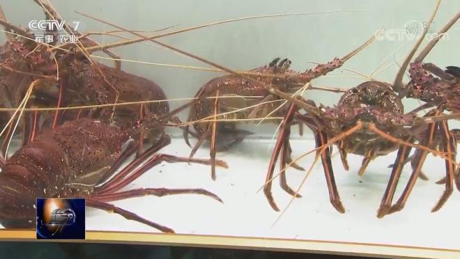 點擊進入下一頁