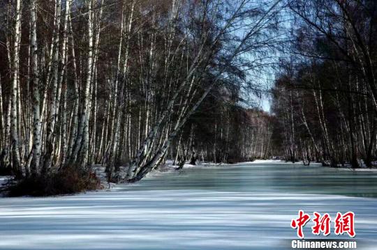 哈巴河的冬日之美絲毫不輸夏天?！」秃涌h委宣傳部供圖 攝